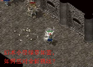 幻术小径绿草如茵,如何应对全新挑战? 幻术小径绿草如茵,如何应对全新挑战?