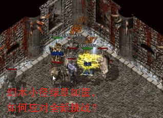 幻术小径绿草如茵,如何应对全新挑战? 幻术小径绿草如茵,如何应对全新挑战?