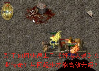 新手如何快速上手《好吗天道》单职业传奇?从何起步才能高效升级? 新手如何快速上手《好吗天道》单职业传奇?从何起步才能高效升级?