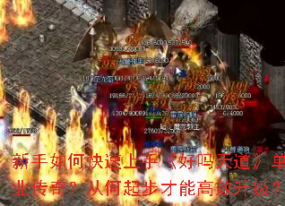 新手如何快速上手《好吗天道》单职业传奇?从何起步才能高效升级? 新手如何快速上手《好吗天道》单职业传奇?从何起步才能高效升级?