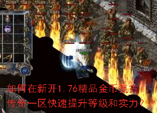������¿�1.76��Ʒ��Ҹ��Ŵ���һ�����������ȼ���ʵ����