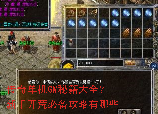 传奇单机GM秘籍大全?新手开荒必备攻略有哪些 传奇单机GM秘籍大全?新手开荒必备攻略有哪些