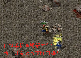 传奇单机GM秘籍大全?新手开荒必备攻略有哪些 传奇单机GM秘籍大全?新手开荒必备攻略有哪些
