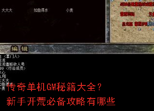 传奇单机GM秘籍大全?新手开荒必备攻略有哪些 传奇单机GM秘籍大全?新手开荒必备攻略有哪些