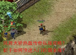 凤舞天骄热血传奇私服攻略?新手如何快速入门称霸全服? 凤舞天骄热血传奇私服攻略?新手如何快速入门称霸全服?