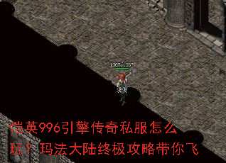 ��Ӣ996���洫��˽����ô�棿�귨��½�ռ����Դ����