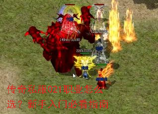 ����˽��021ְҵ��ôѡ���������űؿ�ָ��