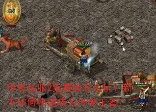 ����˽��2��Ѱ���ô�棿������ο��ٳ�Ϊ�������ߣ�