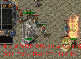 ˭���Ǵ�������˽���������������BOSS�����ı����������˽���٣�