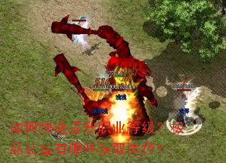 如何快速提升职业等级?极品装备有哪些获取途径? 如何快速提升职业等级?极品装备有哪些获取途径?