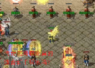 ���淨ʦְҵ����ʺ����������