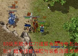 80���޵�С�쵶���ܺϻ�������ô�棿��ȫ���ܴ�����װ��ѡ����