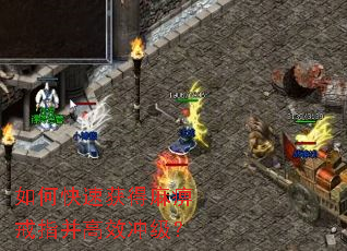如何快速获得麻痹戒指并高效冲级? 如何快速获得麻痹戒指并高效冲级?