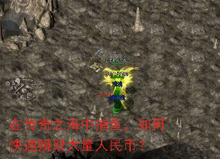 在传奇之海中捕鱼,如何快速赚取大量人民币? 在传奇之海中捕鱼,如何快速赚取大量人民币?