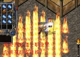 ������Ϸ��ʿְҵ�Ƿ�ӵ��Ⱥ�����ܣ�