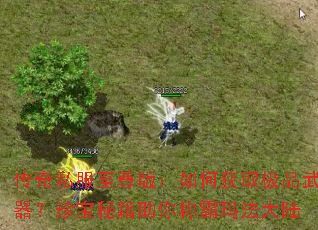 传奇私服至尊版:如何获取极品武器?珍宝秘籍助你称霸玛法大陆 传奇私服至尊版:如何获取极品武器?珍宝秘籍助你称霸玛法大陆