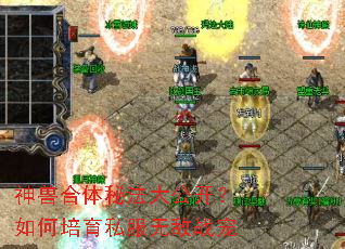神兽合体秘法大公开?如何培育私服无敌战宠 神兽合体秘法大公开?如何培育私服无敌战宠