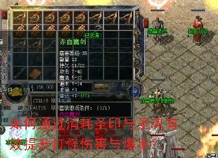 如何通过消耗圣印与圣魂有效提升打怪伤害与爆率? 如何通过消耗圣印与圣魂有效提升打怪伤害与爆率?