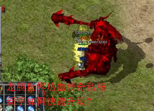 龙腾世界热血传奇私服新手如何快速升级? 龙腾世界热血传奇私服新手如何快速升级?