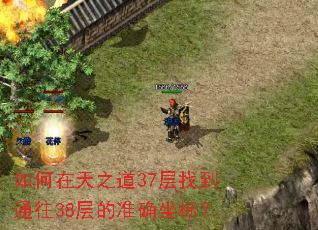 如何在天之道37层找到通往38层的准确坐标? 如何在天之道37层找到通往38层的准确坐标?