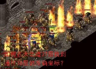 如何在天之道37层找到通往38层的准确坐标? 如何在天之道37层找到通往38层的准确坐标?