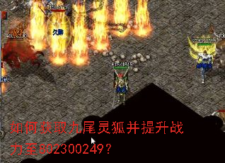 如何获取九尾灵狐并提升战力至802300249? 如何获取九尾灵狐并提升战力至802300249?