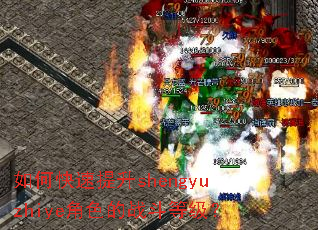 如何快速提升shengyuzhiye角色的战斗等级? 如何快速提升shengyuzhiye角色的战斗等级?