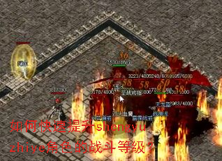 如何快速提升shengyuzhiye角色的战斗等级? 如何快速提升shengyuzhiye角色的战斗等级?