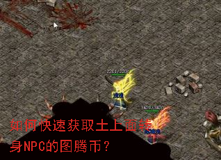 如何快速获取土上面转身NPC的图腾币? 如何快速获取土上面转身NPC的图腾币?