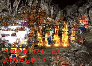 如何快速获取土上面转身NPC的图腾币? 如何快速获取土上面转身NPC的图腾币?