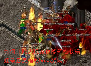 �����ɢ�����Ҳ�����ɻ�ÿ����͸���boss������