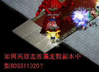 如何高效击败屠龙戮副本中型BOSS11320? 如何高效击败屠龙戮副本中型BOSS11320?