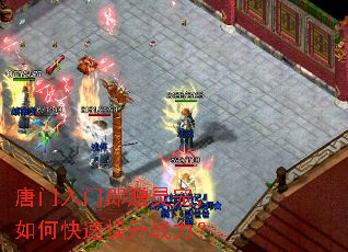 唐门入门即赠灵宠,如何快速提升战力? 唐门入门即赠灵宠,如何快速提升战力?