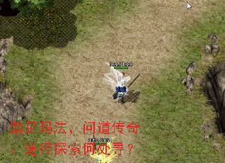 踏足玛法,问道传奇:迷径探索何处寻? 踏足玛法,问道传奇:迷径探索何处寻?