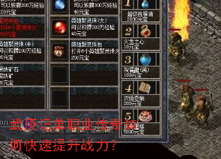 武庚记单职业传奇如何快速提升战力? 武庚记单职业传奇如何快速提升战力?