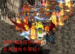 如何快速提升封魔谷神雕角色等级? 如何快速提升封魔谷神雕角色等级?