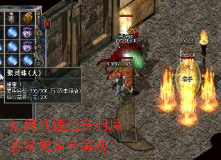 如何快速提升封魔谷神雕角色等级? 如何快速提升封魔谷神雕角色等级?
