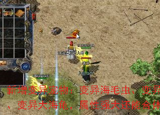 �������������캣ë�桢������ܡ�����󺣹꣬����ǿ���ܺ��壿