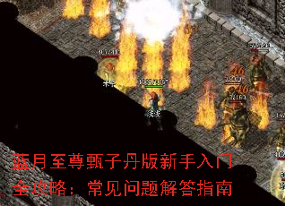 蓝月至尊甄子丹版新手入门全攻略:常见问题解答指南 蓝月至尊甄子丹版新手入门全攻略:常见问题解答指南