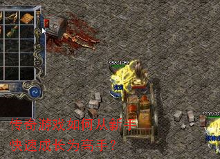 传奇游戏如何从新手快速成长为高手? 传奇游戏如何从新手快速成长为高手?