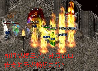 ����ݺ����磬������Ѫ������޽糩��֮�ã�