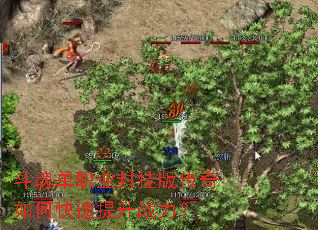 斗魂单职业封挂版传奇如何快速提升战力? 斗魂单职业封挂版传奇如何快速提升战力?