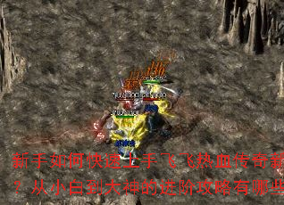 新手如何快速上手飞飞热血传奇新服?从小白到大神的进阶攻略有哪些? 新手如何快速上手飞飞热血传奇新服?从小白到大神的进阶攻略有哪些?