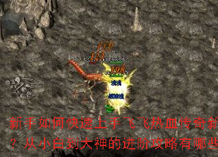 新手如何快速上手飞飞热血传奇新服?从小白到大神的进阶攻略有哪些? 新手如何快速上手飞飞热血传奇新服?从小白到大神的进阶攻略有哪些?