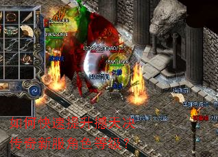 如何快速提升撼天决传奇新服角色等级? 如何快速提升撼天决传奇新服角色等级?