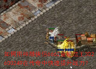 ������������6662���ַ���302600249�ڴ����п�������ս����