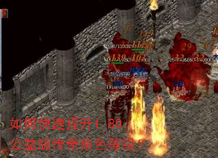 如何快速提升1.80公益版传奇角色等级? 如何快速提升1.80公益版传奇角色等级?