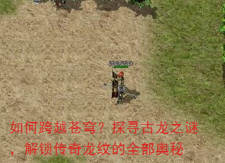 如何跨越苍穹?探寻古龙之谜,解锁传奇龙纹的全部奥秘 如何跨越苍穹?探寻古龙之谜,解锁传奇龙纹的全部奥秘