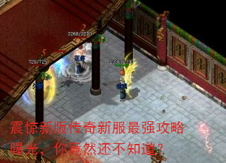 震惊新版传奇新服最强攻略曝光,你竟然还不知道? 震惊新版传奇新服最强攻略曝光,你竟然还不知道?