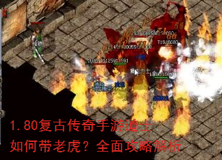1.80复古传奇手游道士如何带老虎?全面攻略解析 1.80复古传奇手游道士如何带老虎?全面攻略解析